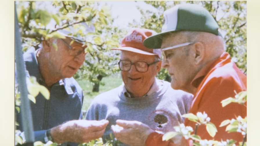 Apple orchard visit with Ben Rogers, Arthur Thompson and Harry Black
