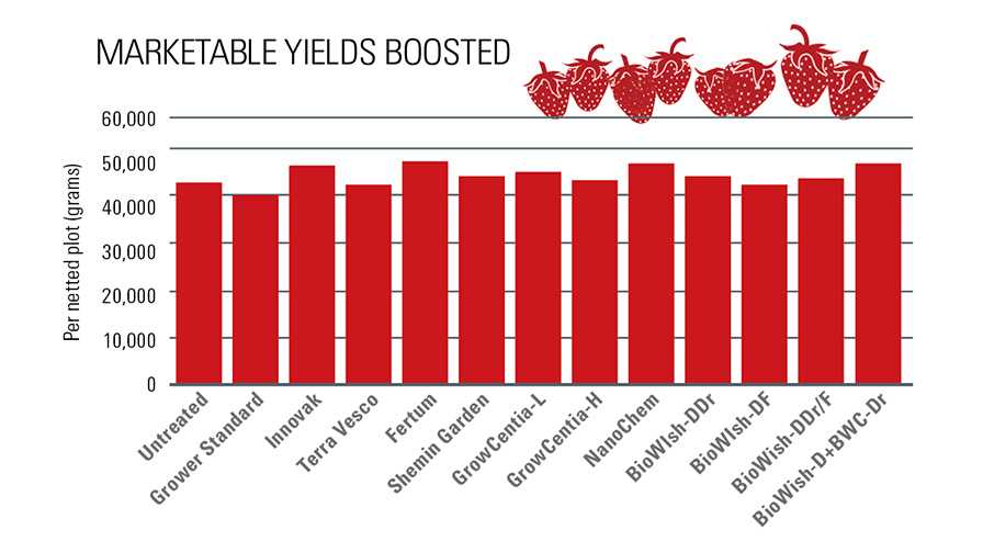 Biostimulants trial marketable yield chart for strawberries