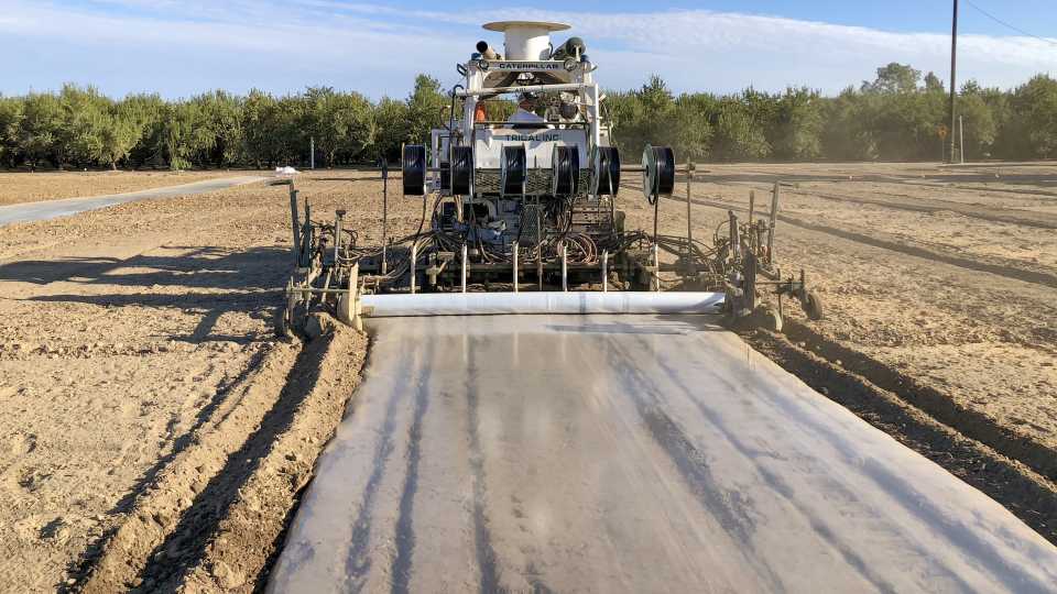 A Soil Fumigation Alternative for Almond Growers