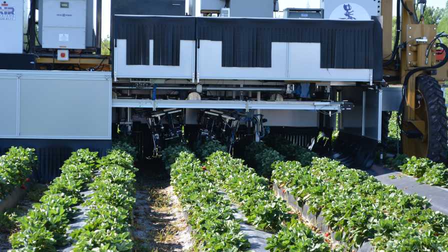 How Artificial Intelligence Will Guide the Future of Agriculture