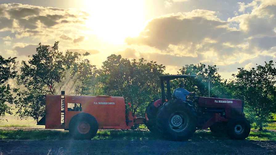 Florida Citrus Grower Perspective: The Fight for No. 1 Is Far From Over