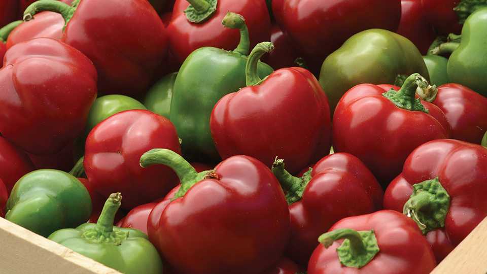 Check Out These Hot and Sweet Pepper Varieties