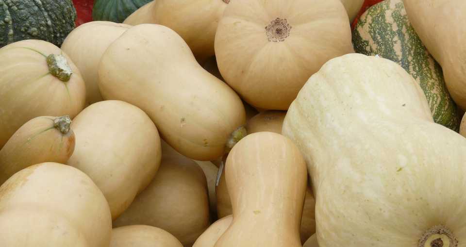 5. Winter Squash