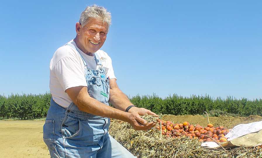 How Frog Hollow Farm Commands $10 a Pound for Its Produce