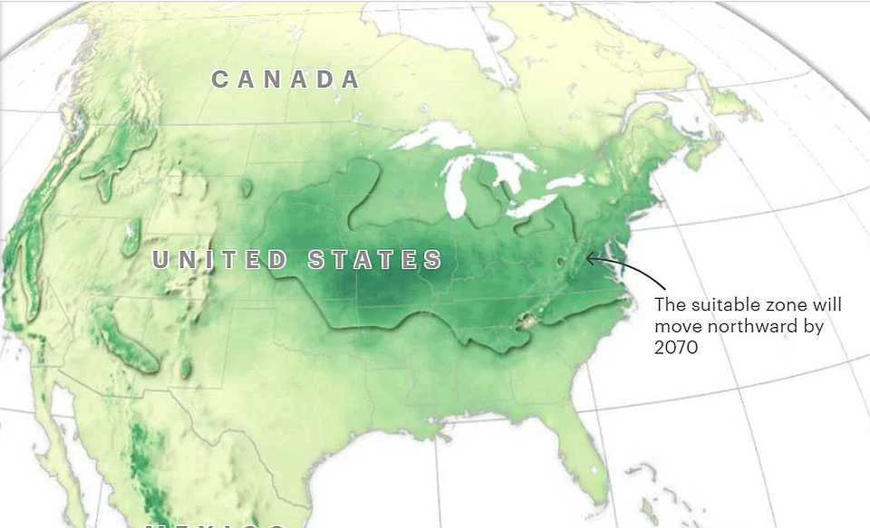 Are You Ready for Massive Climate Migration?