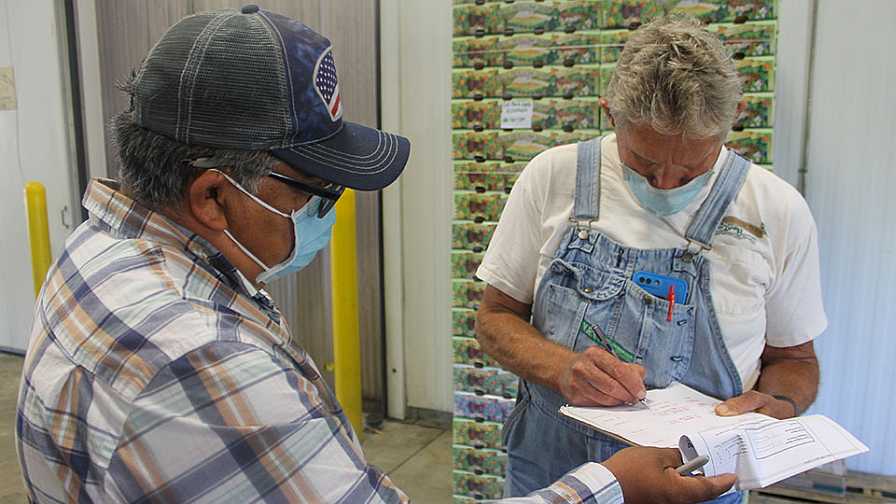 Inside the Packing Shed at Frog Hollow Farm
