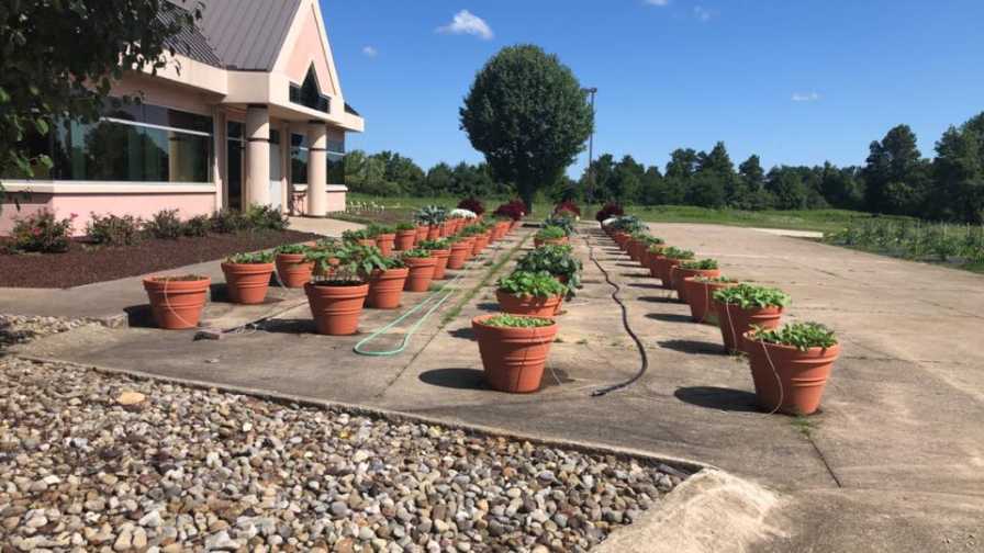 Grimes Horticulture Closes After Almost 100 Years in Business