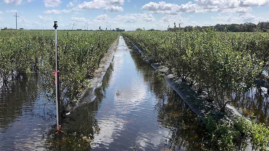 Farm Damage From Tropical Storm Eta? How To Get Help