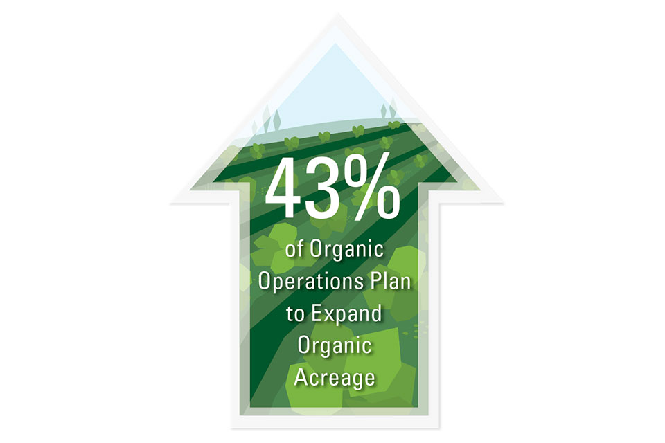 AVG graphic of percentage of organic expansion plans