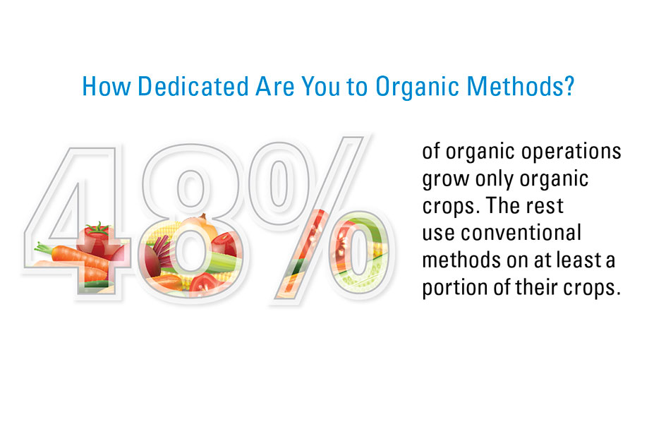 AVG graphic - percentage dedicated to organic production