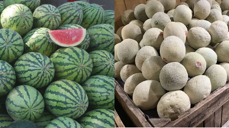 Two Melon Recalls Announced This Week