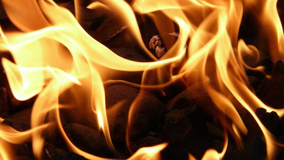 Food Basics On Fire 