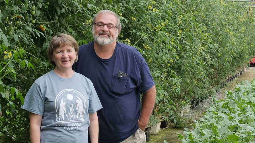 How Tega Hills Farm Reinvented Itself During Lockdown