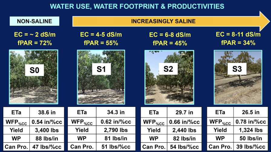 Chart of water use in pistachio grove