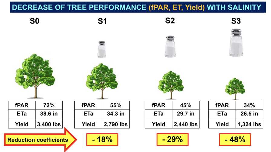 Chart of salinity analysis in pistachio grove