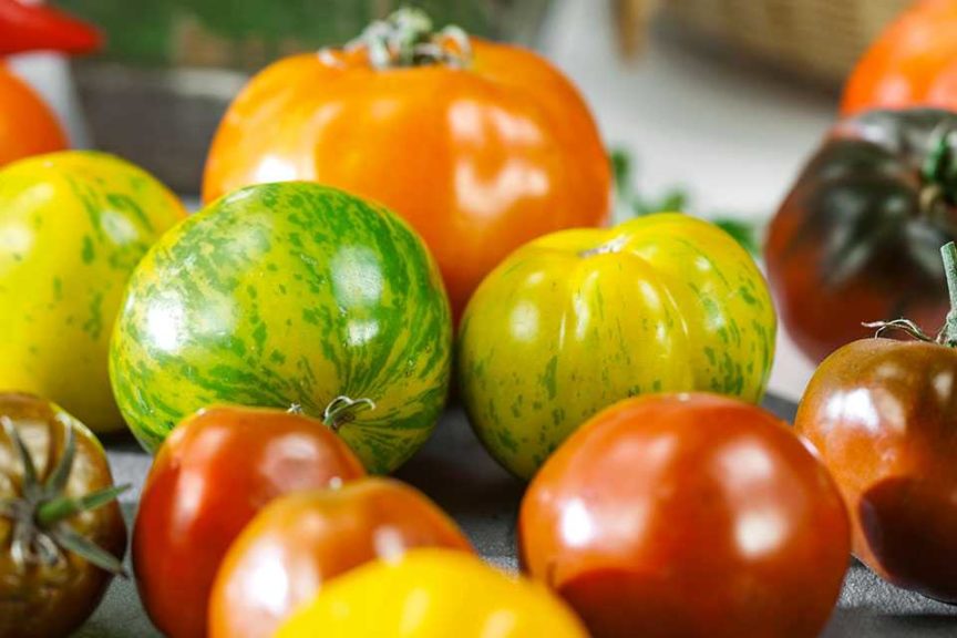 'Chef's Choice' tomato series (Seeds by Design)