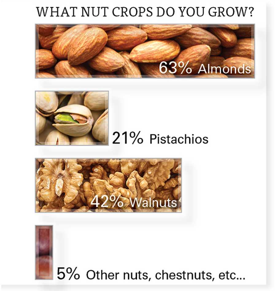 AFG SOI 2021 nut production results