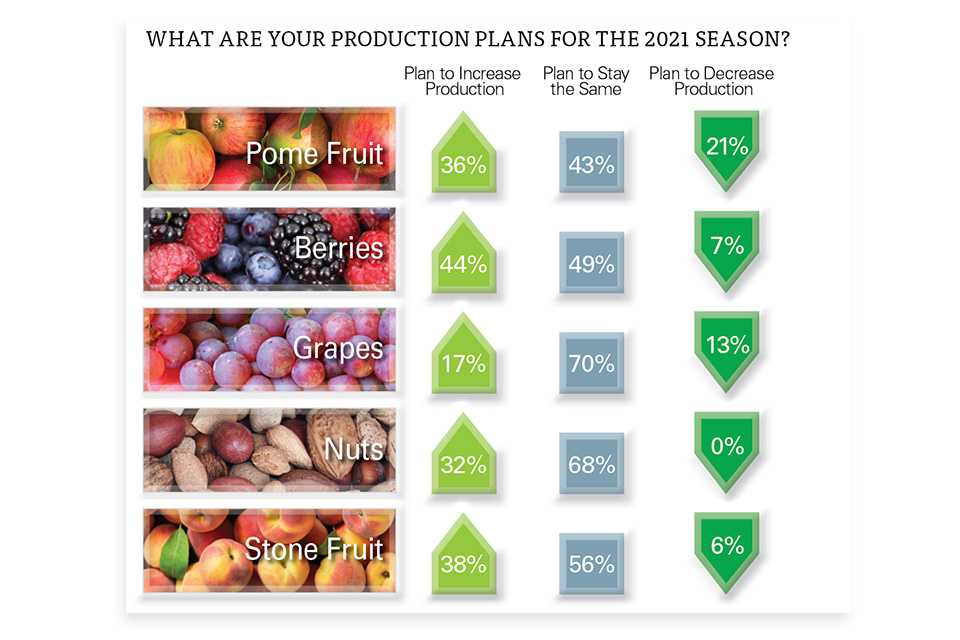 2021 State of the Fruit and Nut industry production plans chart
