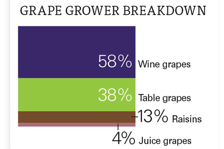2021 industry survey results on grape grower categories