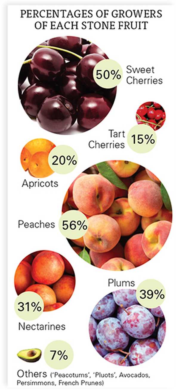 Industry survey on stone fruit crops