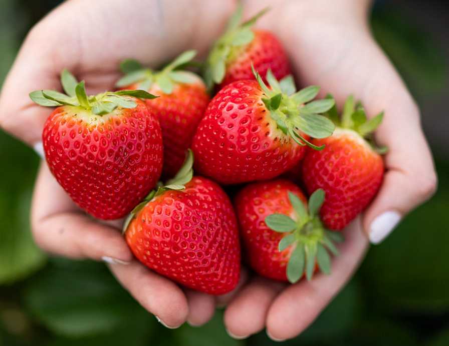 Vanilla in Strawberries? Scientists Find a First
