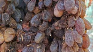 The Impact of Wildfire Smoke on California Raisins