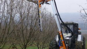 Mechanized Pruning Tools Growing on More Tree Fruit Producers