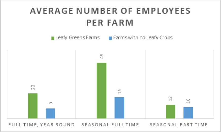Chart of average number of employees on leafy vegetable farms