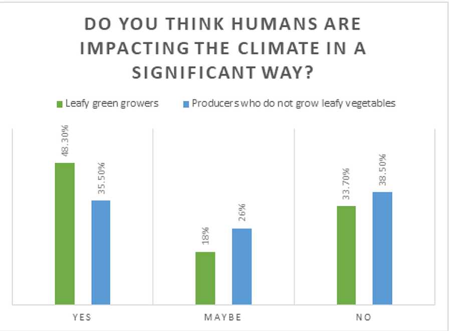 chart of climate change impacts from leafy vegetable growers