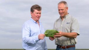 How Hundley Farms Places a Priority on Nutrient Management