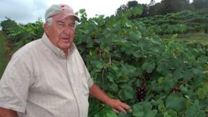 Remembering a Berry Industry Leader, Innovator, and Friend