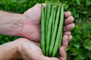 LaSalle (SEEDWAY LLC)