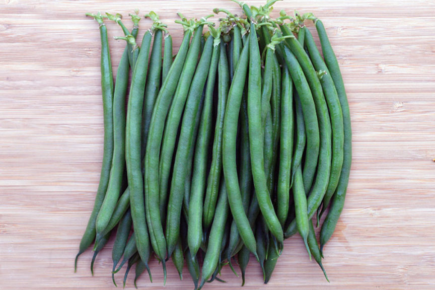 Pharaoh (Seminis Vegetable Seeds, Stokes Seeds)