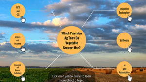 Which Precision Ag Tools Do Vegetable Growers Use? [Infographic]