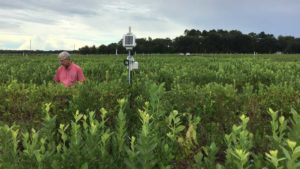 Why There’s More To Irrigation Than Just Watering