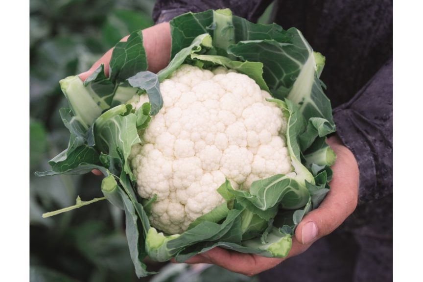 12. Cauliflower (Clean)