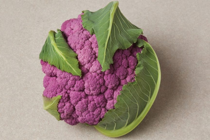 DePurple (Syngenta Vegetable Seeds, Harris Seeds DBA Garden Trends, Inc)
