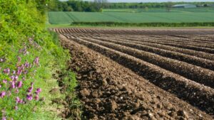 In What Way Does Fumigation Affect Soil Health?