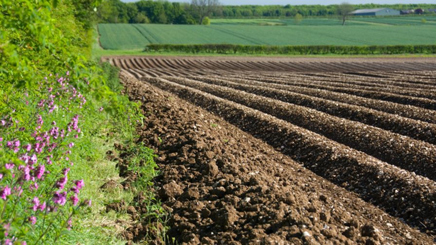 In What Way Does Fumigation Affect Soil Health?