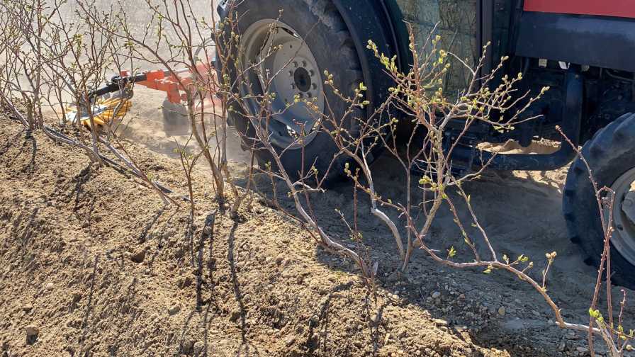 Investing in New Orchard Equipment Can Lead To a Fruitful Payoff