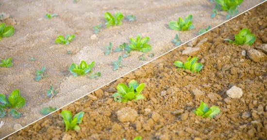 smart cultivator