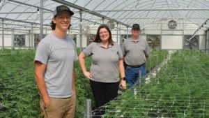 How Treadwell Farms Is Taking the Lead on Hemp in Florida