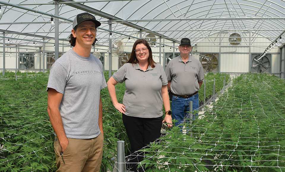 How Treadwell Farms Is Taking the Lead on Hemp in Florida