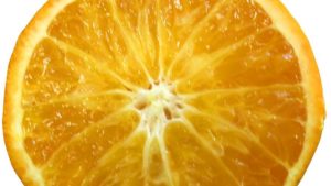 Scientific Discovery Gives New Hope for Citrus With HLB Tolerance
