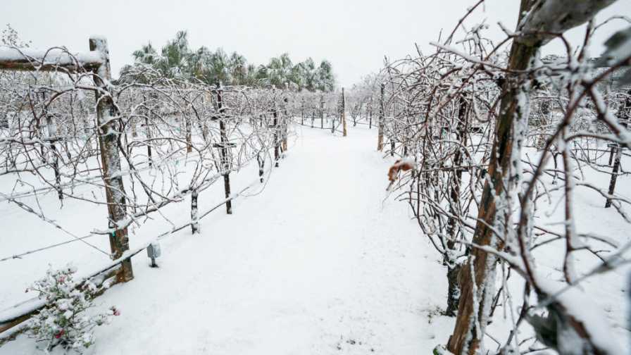 October: Farmers Almanacs Vs. Modern Science: Which Winter 2023-2024 Forecast Will Win Out?