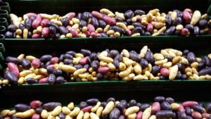 Why It’s Time To Fall in Love with Potatoes