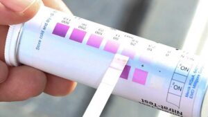 How a Soil Nitrate Quick Test Can Save on Fertilizer Costs