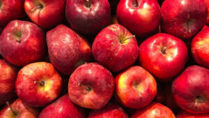 USApple Plans In-Person Outlook Conference