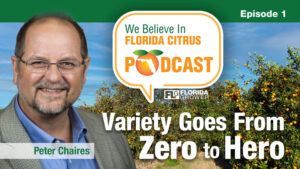 We Believe in Florida Citrus Podcast: Mandarin Hybrid Goes From Zero to Hero?