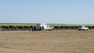 One Dead, Two Injured in California Vineyard Shooting